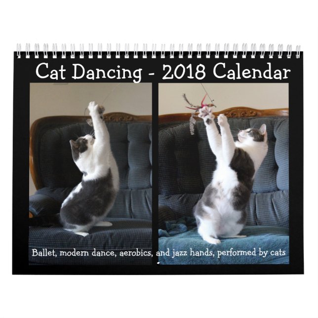 Cat Dancing - 2018 Calendar (Cover)