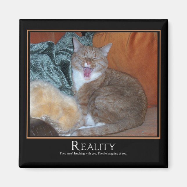 Cat Demotivator Magnet (Front)