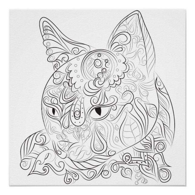 Cat design: Colouring poster (Front)