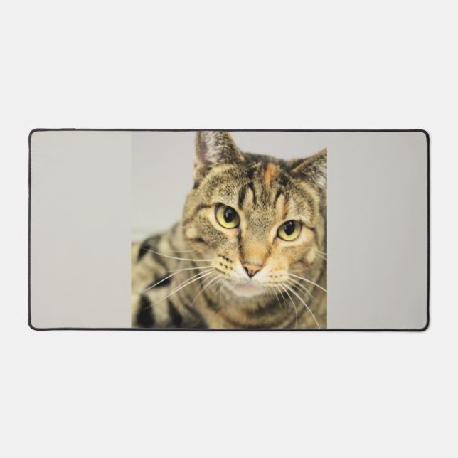 Cat Desk Mat (Front)
