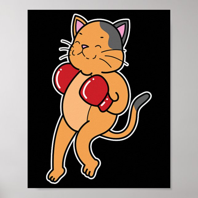 Cat Does Boxing 2  Poster (Front)