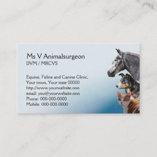 Cat, dog and horse vet appointment card
