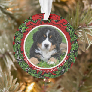 Cat Dog photo First Christmas berries Ornament