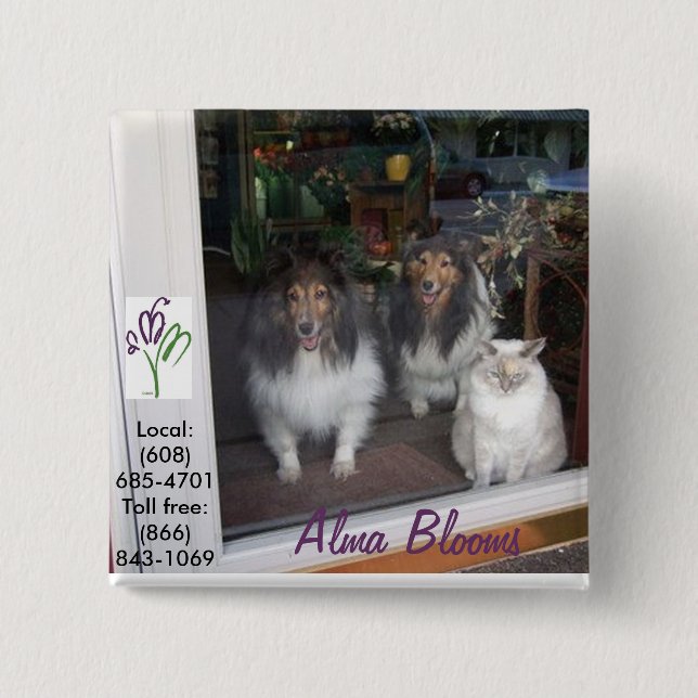Cat & Dogs 2 Inch Square Button (Front)