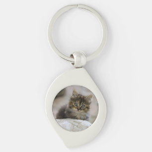 Cat, Domestic cat, Animal Keychain