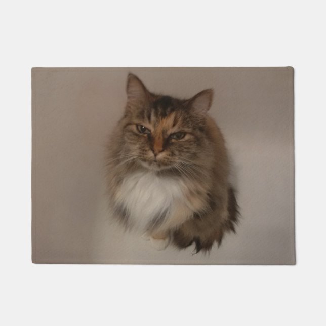 Cat Doormat (Front)