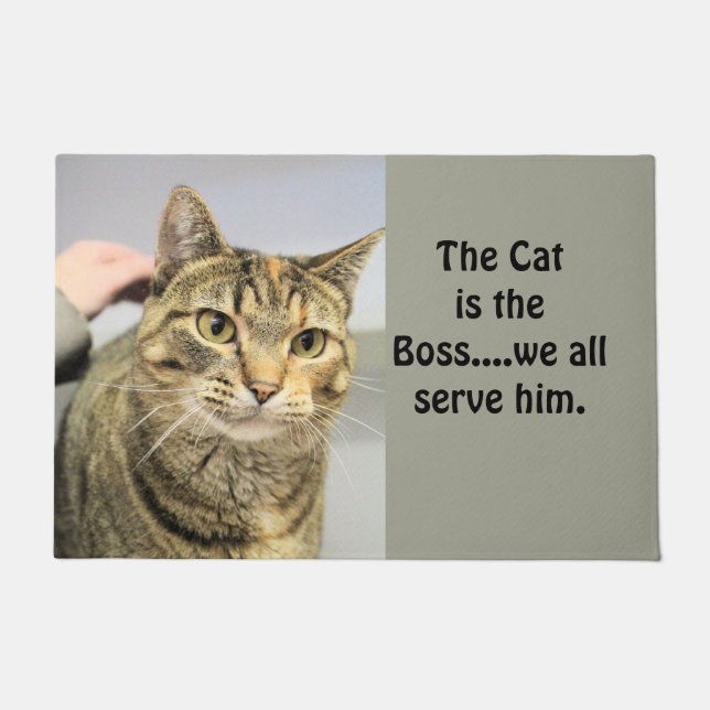 Cat Doormat (Front)