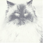 Cat Drawing 3D Photo Silhouette Standing Photo Sculpture<br><div class="desc">This photo silhouette features my Himalayan cat drawing. This design is a perfect addition to any accessory.</div>