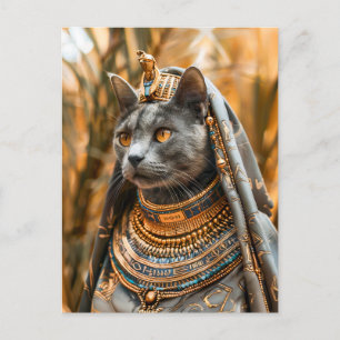 Cat Dressed as Pharaoh Queen Postcard