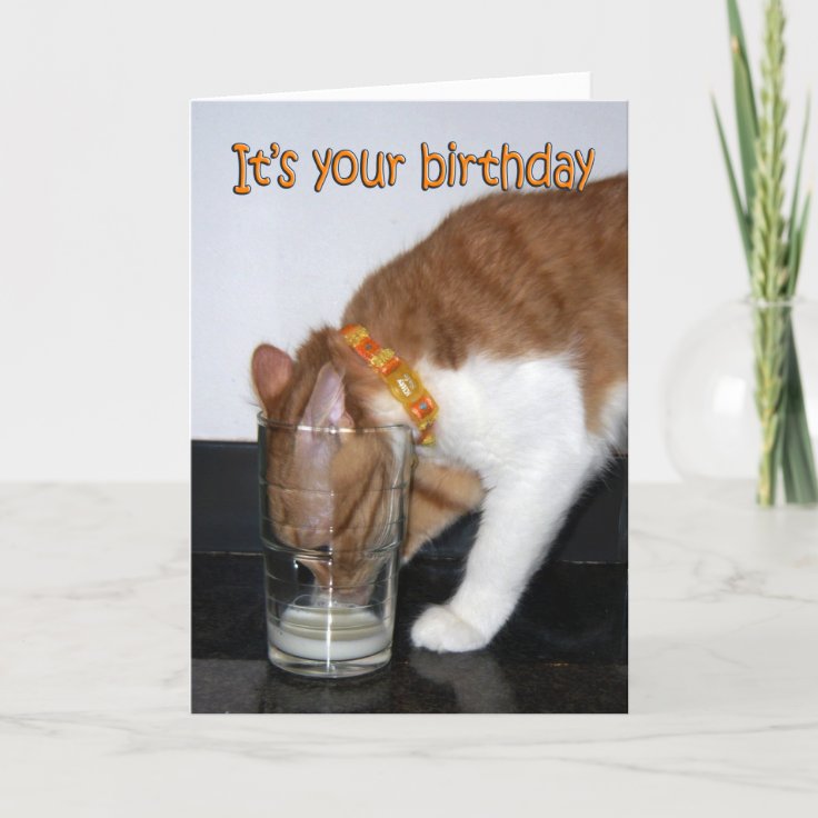 Cat Drinking from Glass Happy Birthday Card Zazzle