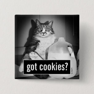 Cat Drinking Milk From Jug 2 Inch Square Button