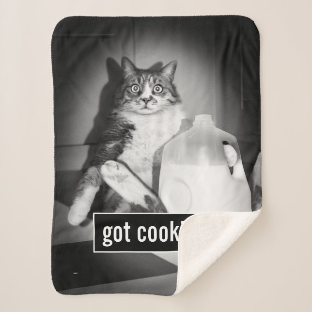 Cat Drinking Milk From Jug Sherpa Blanket (Front)