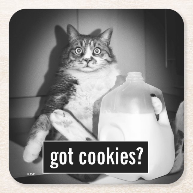 Cat Drinking Milk From Jug Square Paper Coaster (Front)