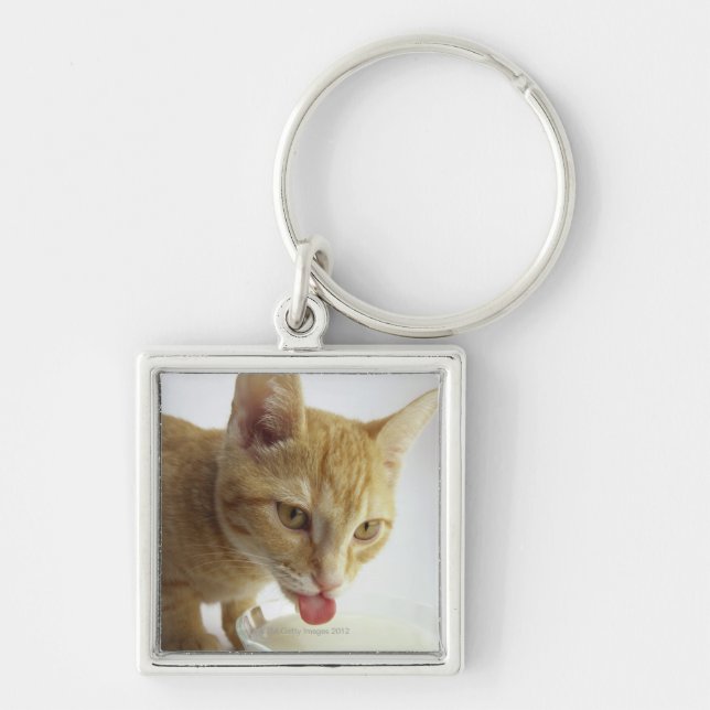 Cat drinking milk keychain (Front)