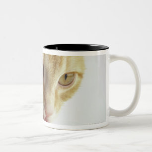 Cat drinking milk Two-Tone coffee mug