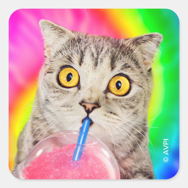 Cat Drinking Slushie Square Sticker (Front)