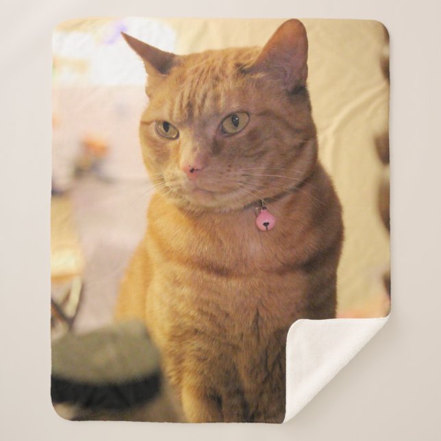 Cat Duvet Cover Fleece Blanket (Front)