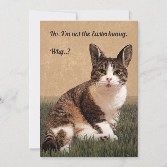 Cat-Easterbunny 🐰😸 Holiday Card (Front)