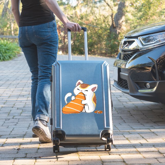 cat eat sushi (Suitcase Insitu)