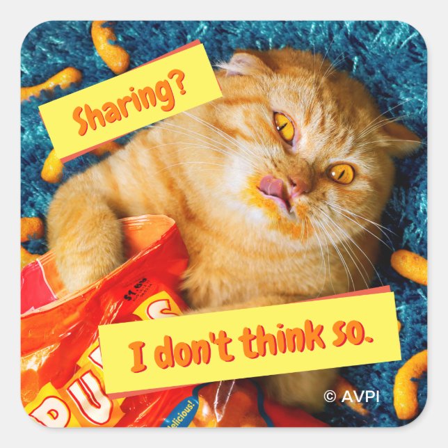 Cat Eating Cheese Puffs Square Sticker (Front)