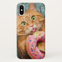 Cat Eating Donut