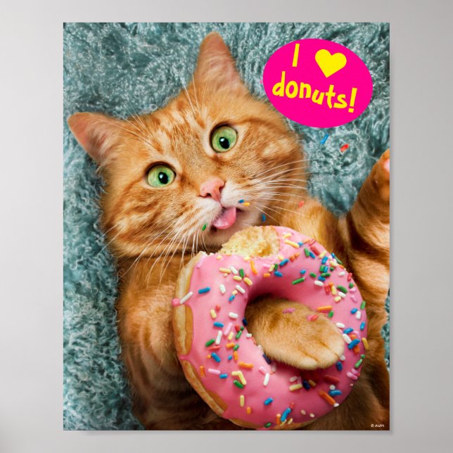 Cat Eating Donut Poster (Front)