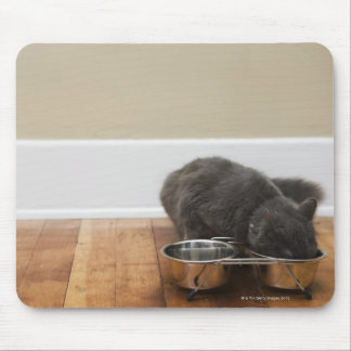 Cat eating from bowl mouse pad