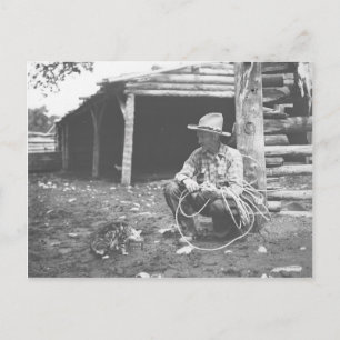 Cat eating out of a coffee can. postcard