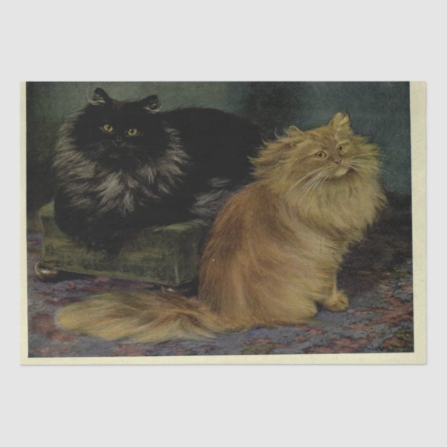 Cat Ephemera Decoupage Smoke Orange Persians Tissue Paper (Front)