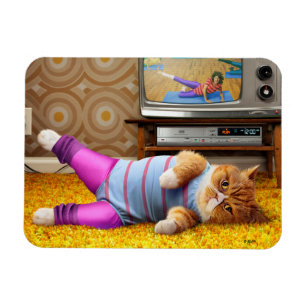 Cat Exercising Magnet