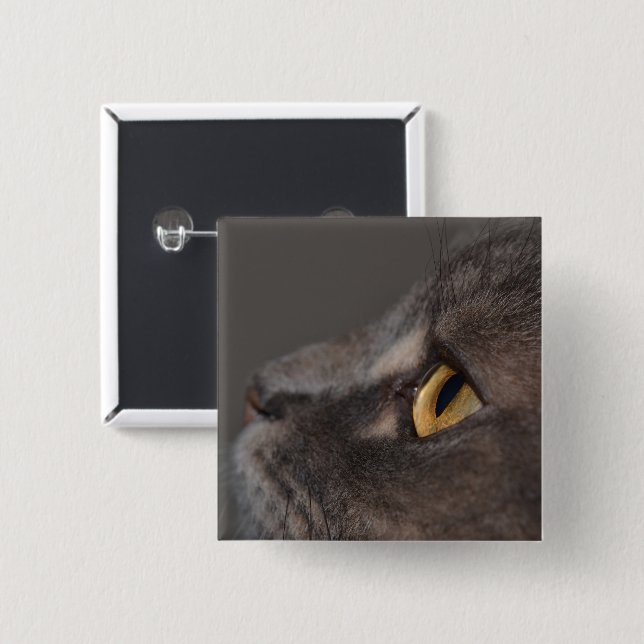 Cat Eye-Macro by Shirley Taylor 2 Inch Square Button (Front & Back)