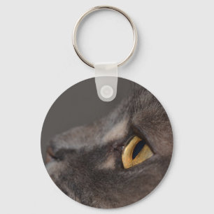 Cat Eye-Macro by Shirley Taylor Keychain