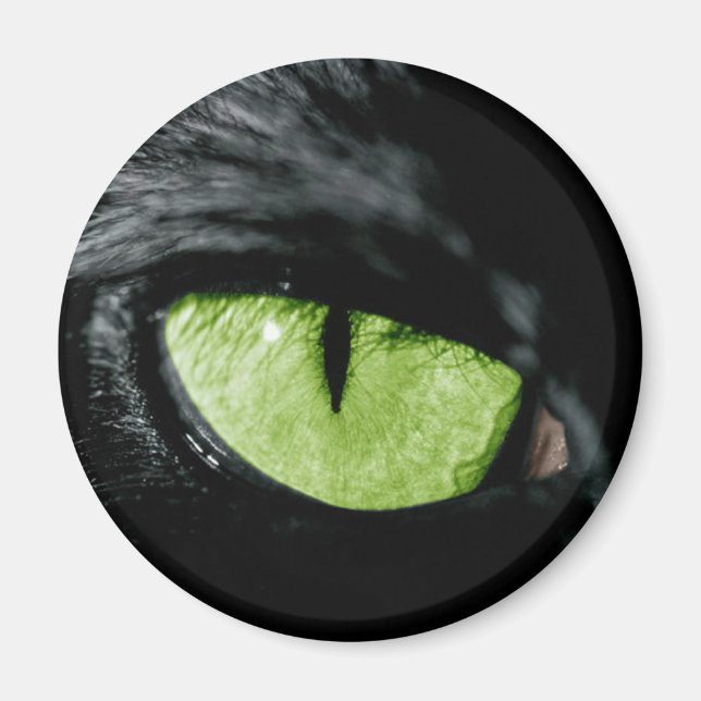 Cat eye magnet (Front)