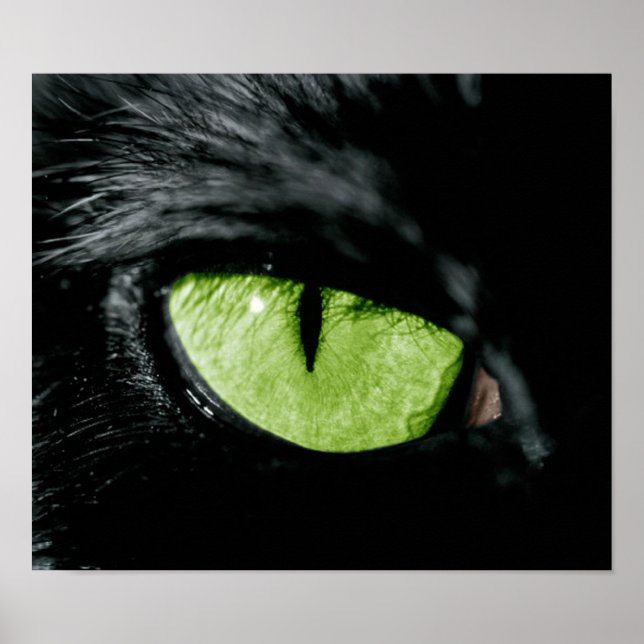 Cat eye poster (Front)