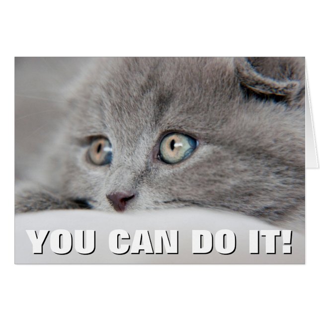 Cat Eyes (Front Horizontal)