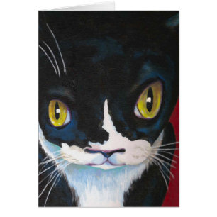 Cat Eyes