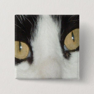 Cat Eyes 2 Inch Square Button