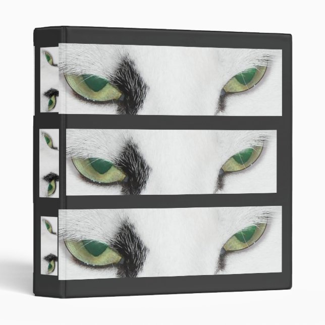 Cat Eyes Binder (Front/Spine)