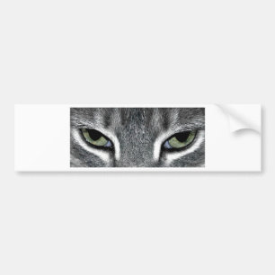 Cat Eyes Bumper Sticker