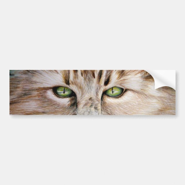 Cat Eyes Bumper Sticker (Front)