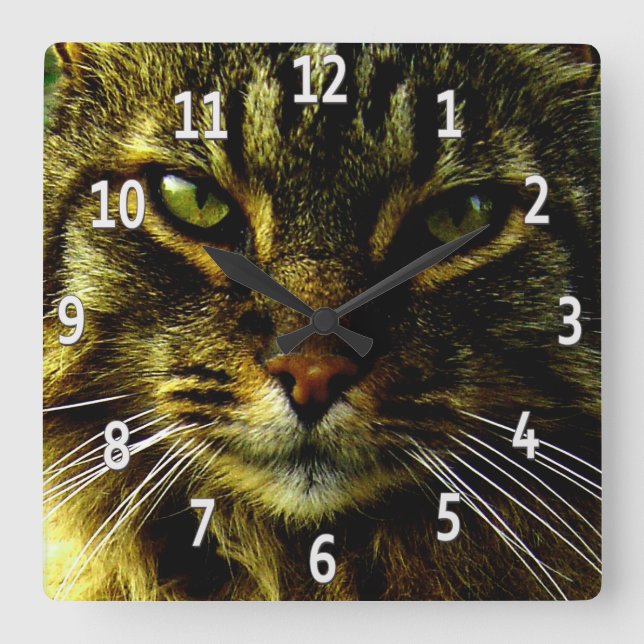 Cat Eyes Hypnotizing Framed Photo Square Wall Clock (Front)