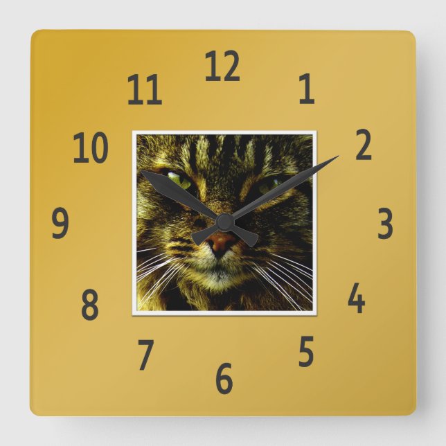 Cat Eyes Hypnotizing Golden Framed Photo Square Wall Clock (Front)