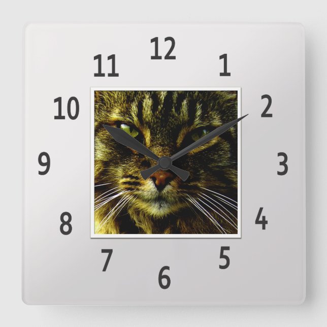 Cat Eyes Hypnotizing Silver Framed Photo Square Wall Clock (Front)