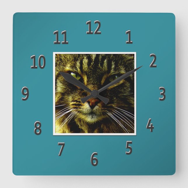 Cat Eyes Hypnotizing Teal Framed Photo Square Wall Clock (Front)