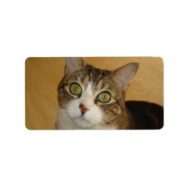 Cat Eyes Label (Front)