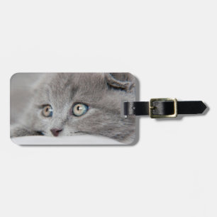 Cat Eyes Luggage Tag
