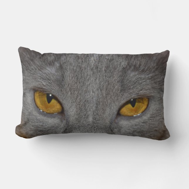 Cat Eyes Lumbar Pillow (Front)