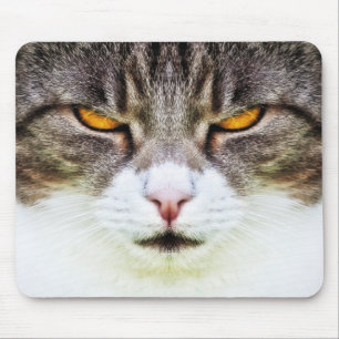 cat eyes mouse pad