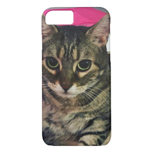 Cat Eyes Phone Case