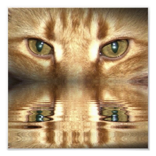 Cat Eyes Photo Print (Front)